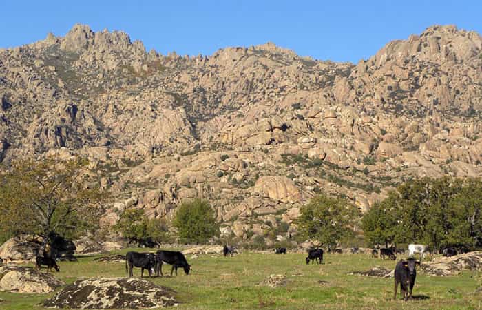 parque-regional-de-la-cuenca-alta-del-manzanares - 