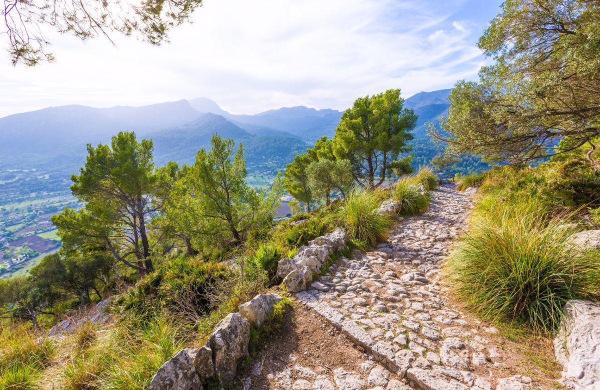 PuigdeMaria - 