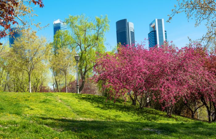 Un plan para cada fin de semana de primavera en Madrid