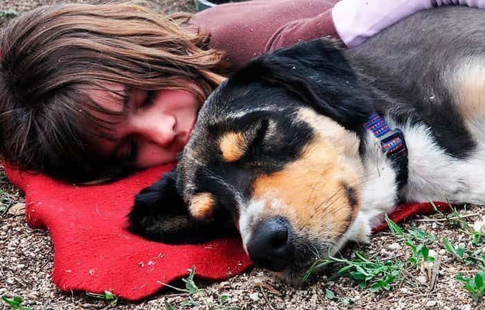 5 Consejos para que los niños afronten la muerte de su mascota