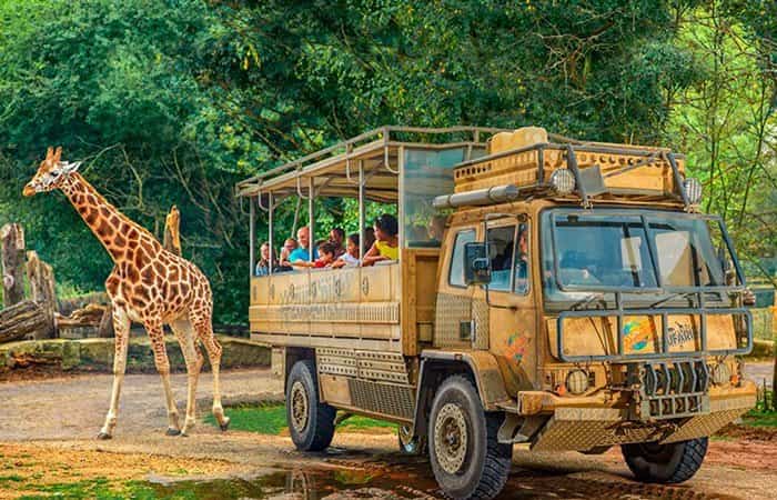Los mejores parques de atracciones y temáticos de Reino Unido