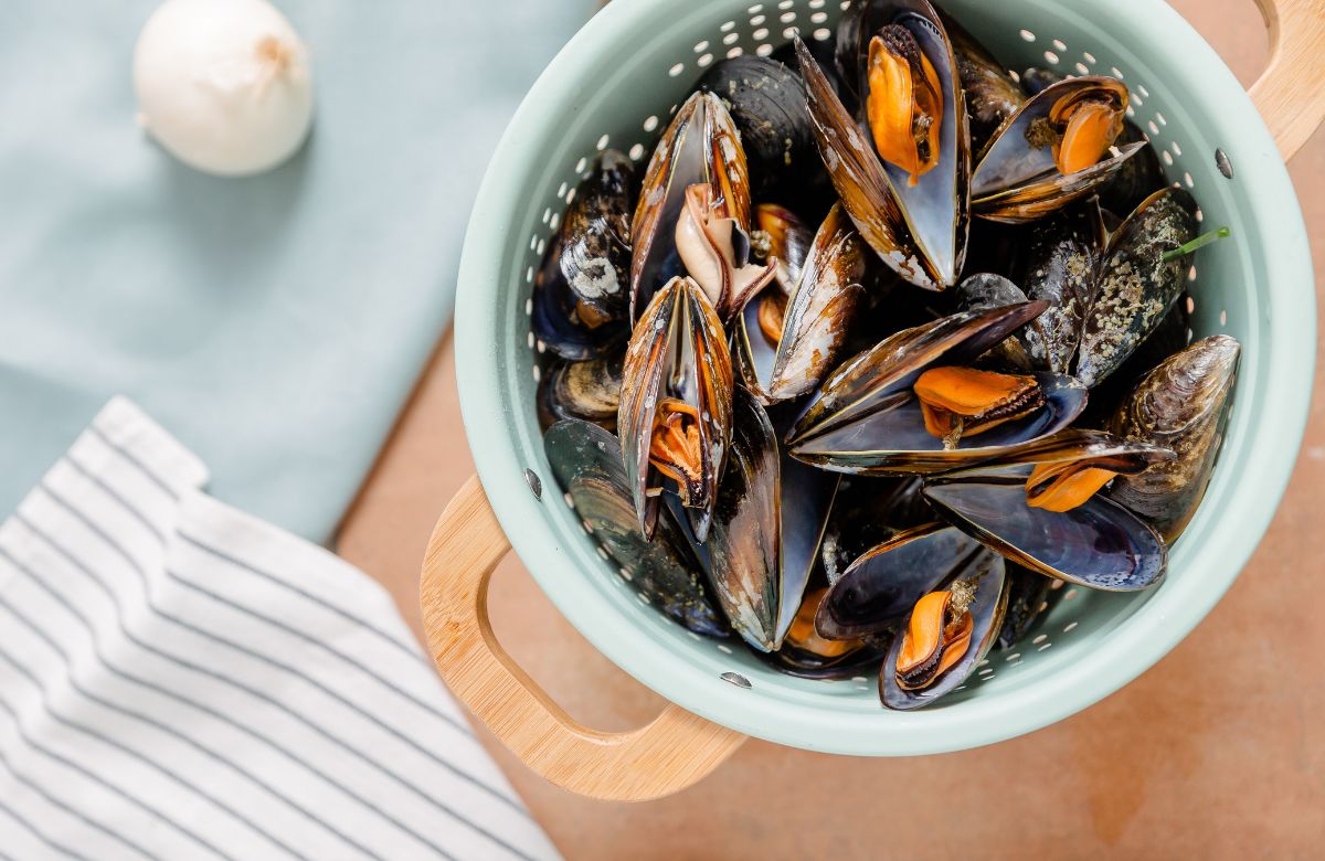 5 Formas de cocinar mejillones y aprovechar todos sus beneficios