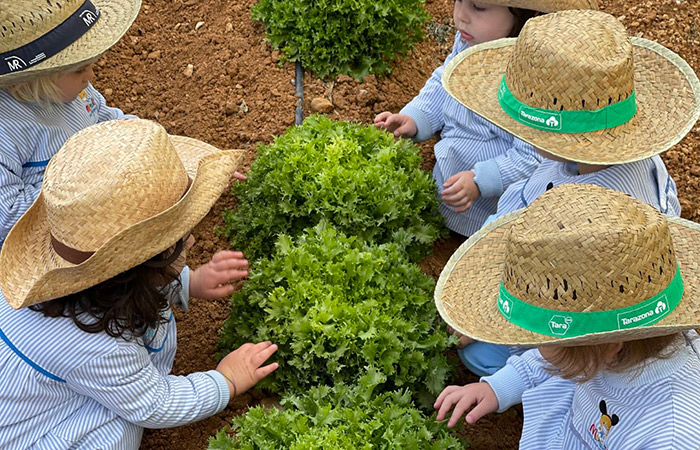 Cómo crear con los niños un sencillo huerto en casa para disfrute de toda la familia