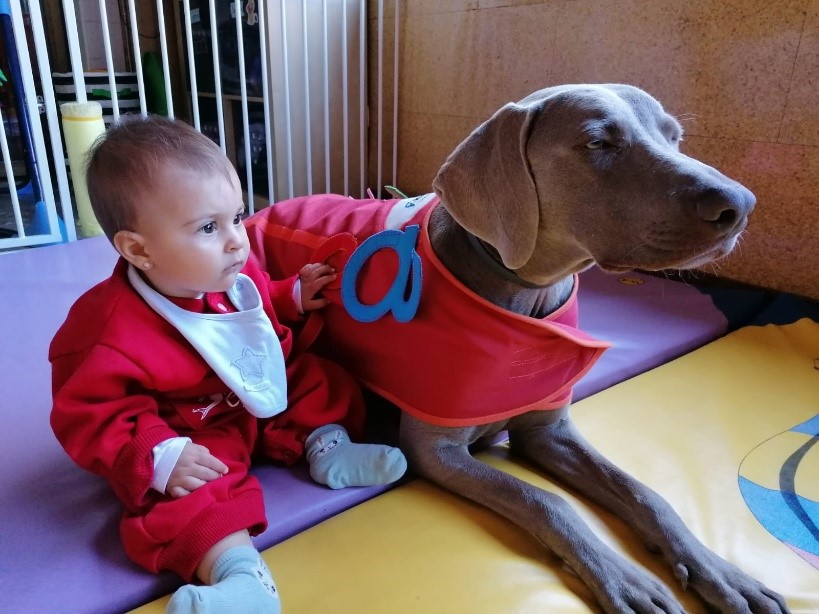 Un perro en las aulas de la escuela infantil, un amigo que estimula el aprendizaje de los niños