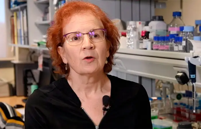 Margarita del Val y otras mujeres referentes en la ciencia y la investigación en España