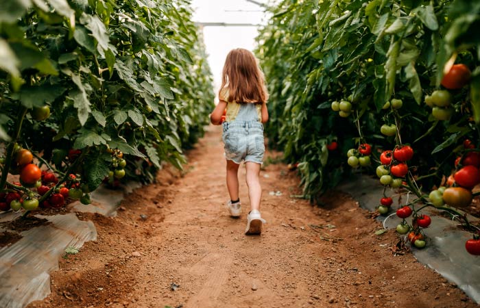 Conocer el origen de los alimentos ayuda a crear hábitos saludables y sostenibles