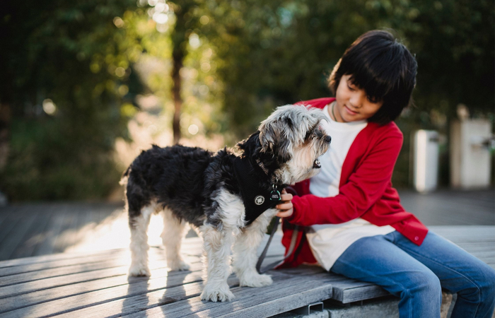 15 Apps de perros que te vendrán fenomenal si tienes una mascota en casa