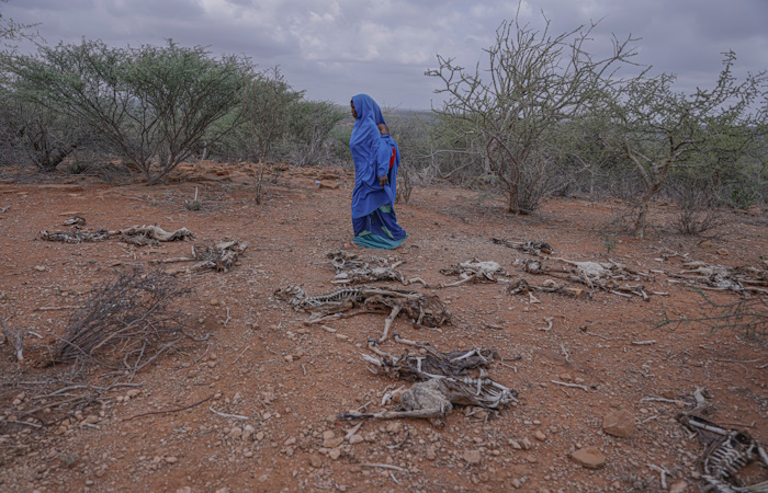 Los desplazamientos humanos, uno de los efectos más dramáticos del cambio climático