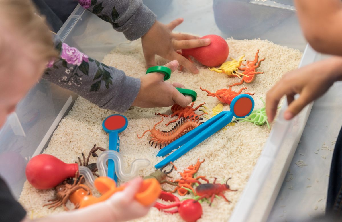 Ejercicios de estimulación temprana para niños de 2 a 3 años