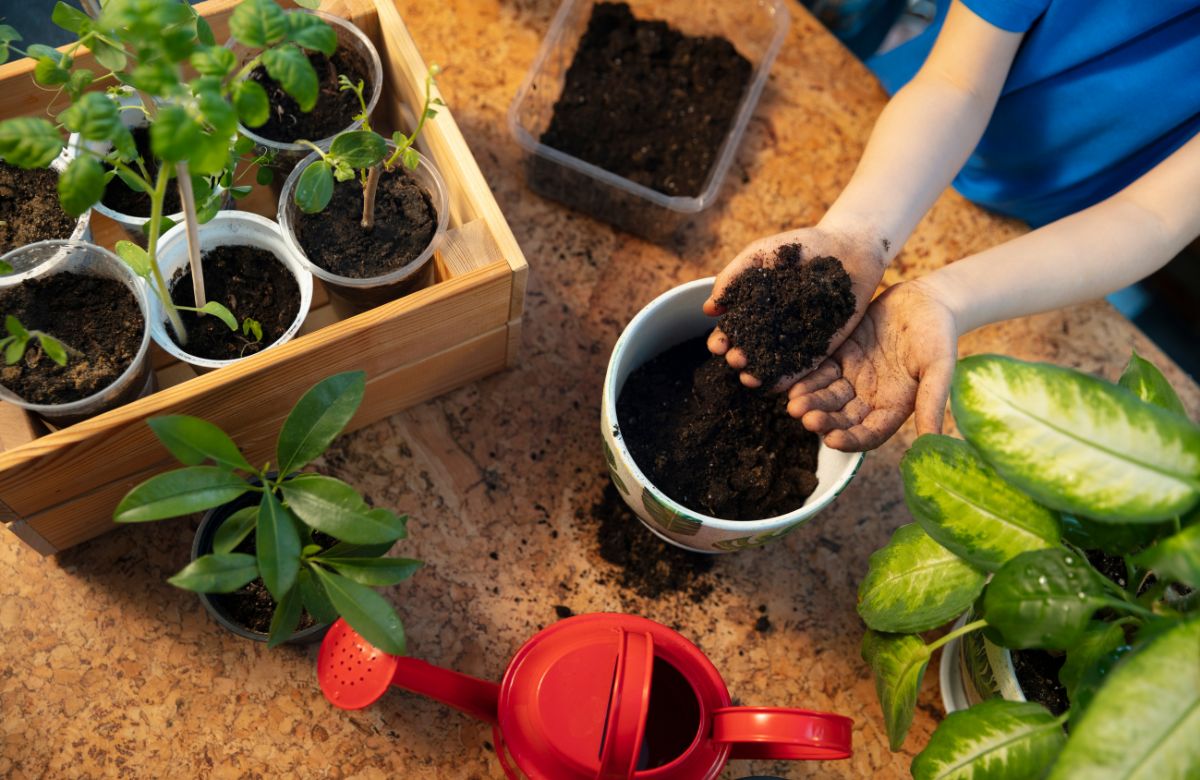 8 Actividades de jardinería para niños basadas en el método Montessori