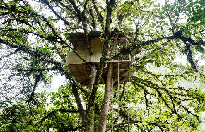 Cabañas impresionantes de Europa para dormir entre los árboles