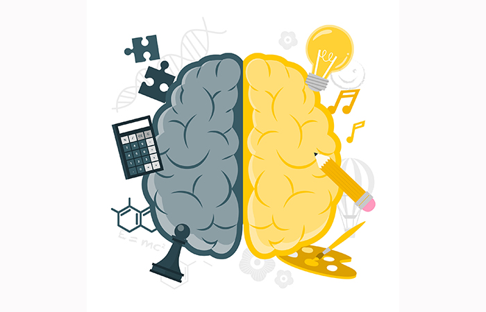 Experimento para conocer cómo funciona tu cerebro