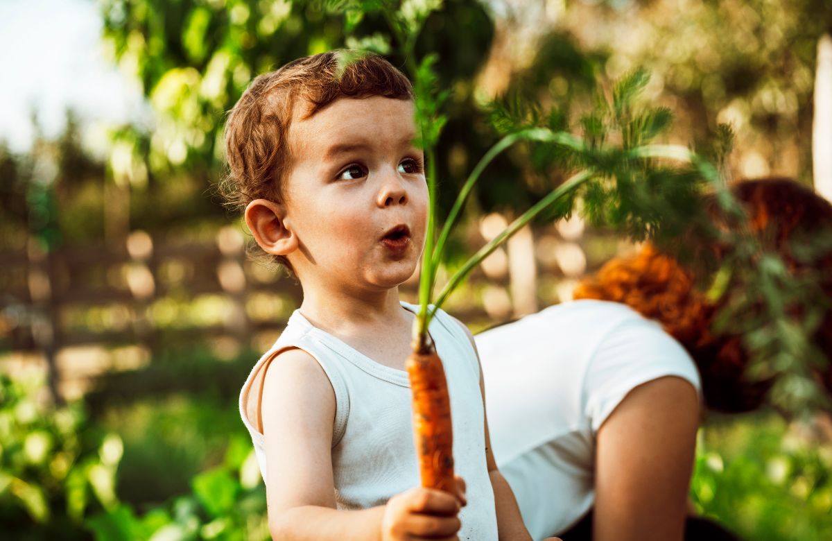 Consejos para practicar la jardinería en familia y crear un pequeño huerto