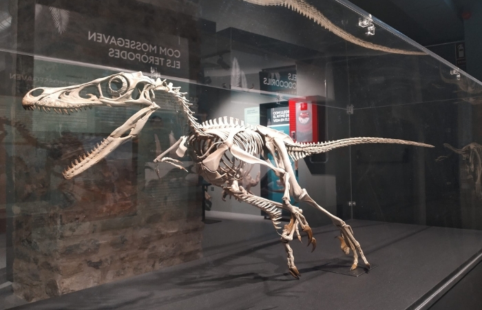 Museo de la Conca Dellà en Lleida