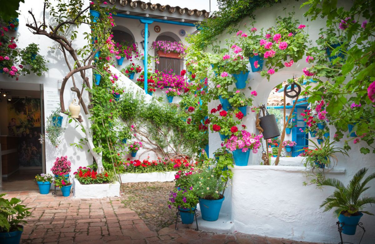 Fiesta de los Patios de Córdoba