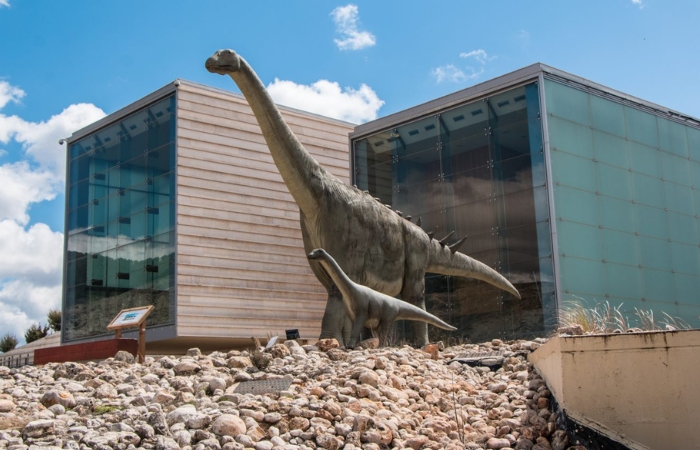 Museo Paleontológico de Castilla-La Mancha en Cuenca