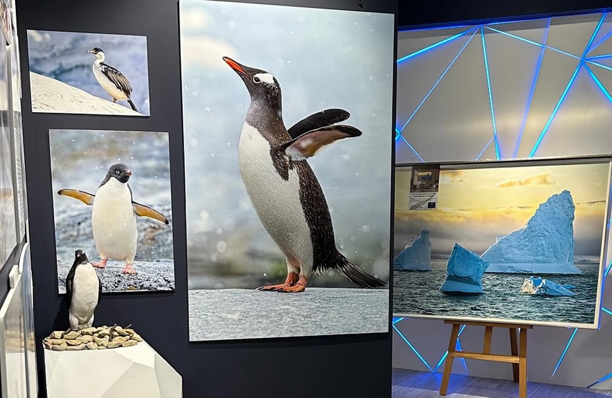 Exposición interactiva sobre Antártida por Sergei Potetiunin