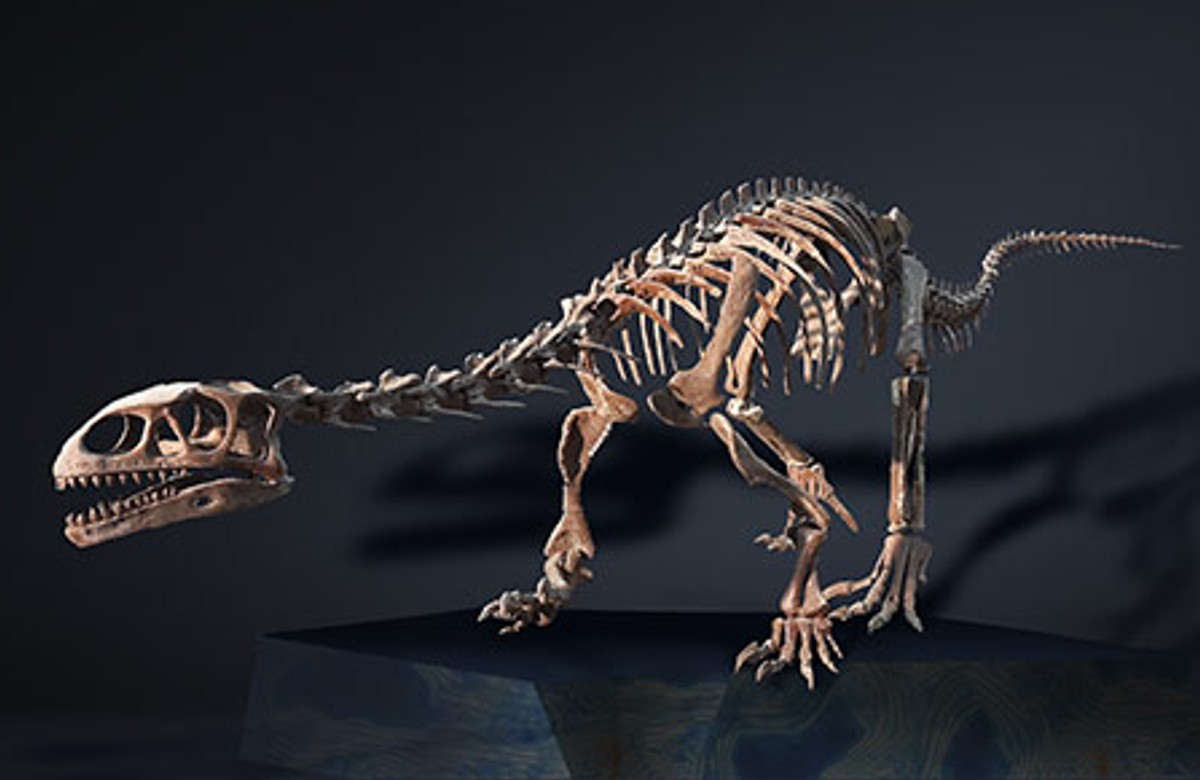 Dinosaurios de la Patagonia en Barcelona