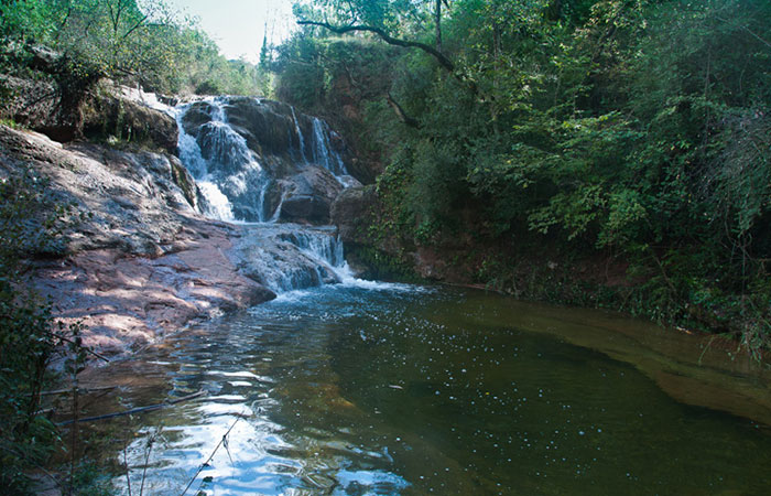 Ruta-por-la-Riera-de-Nisperos-en-Mura - 
