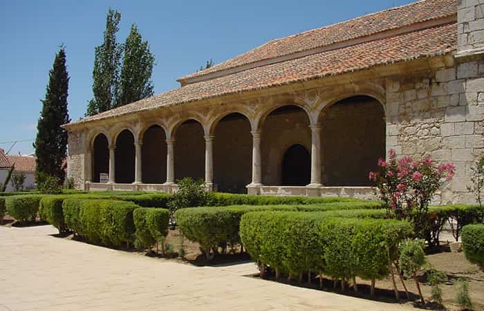 campina-del-henares-madrid - 