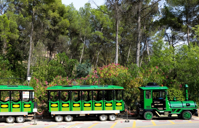 Tren túristico hasta el Volcán de Agrás - 