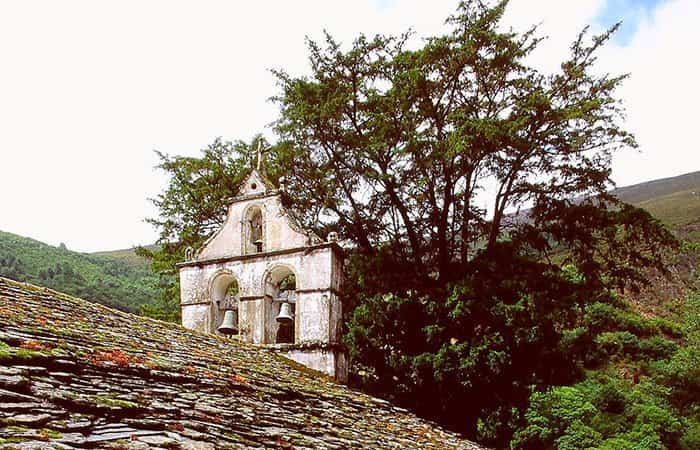 tejo-de-pastur - 